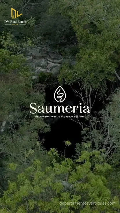 Saumeria Lavanda Fase 1, Tulum